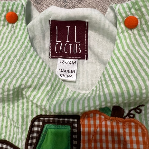 Lil Cactus Fall Pumpkin in a Truck seersucker overalls romper, size 18-24m - Picture 3 of 4